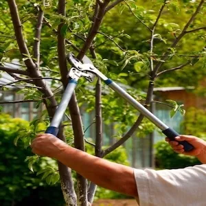 Checklist for Fall Landscaping