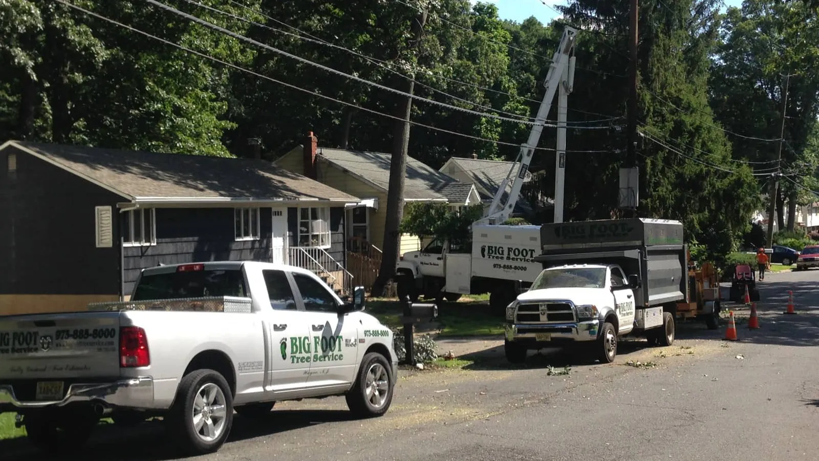Big Foot Tree Service crew performing tree removal in Northern New Jersey
