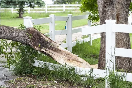 Storm Preparedness: How Tree Trimming Prevents Damage