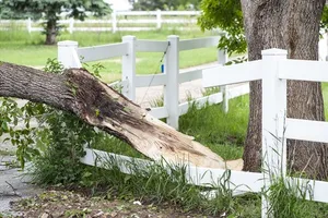 Storm Damage