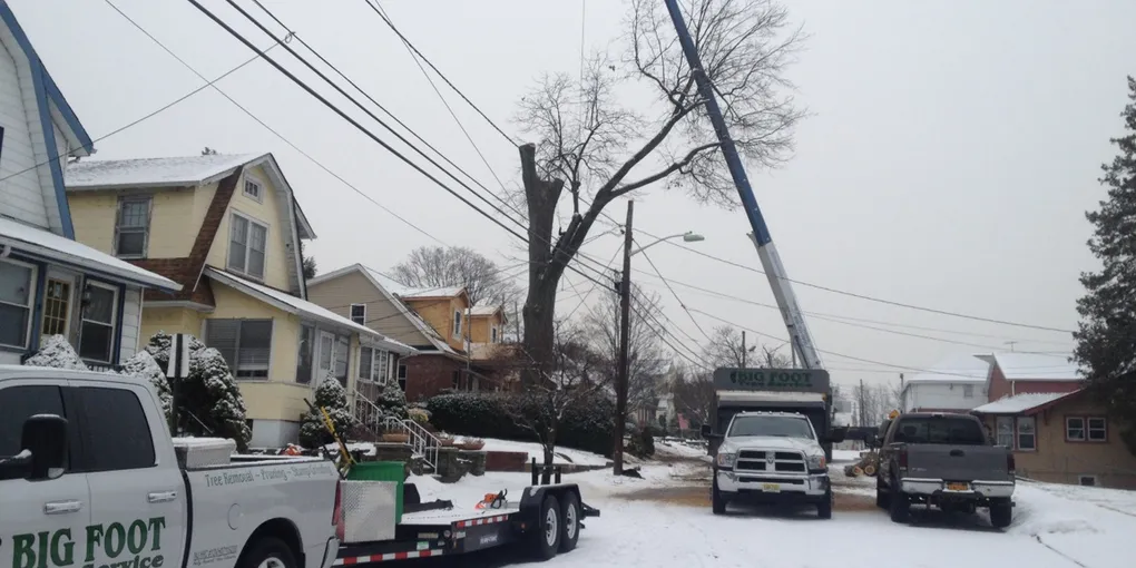 Big Foot Tree Service Provides 24-Hour Winter Storm Damage Cleanup