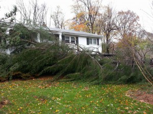 Storm cleanup