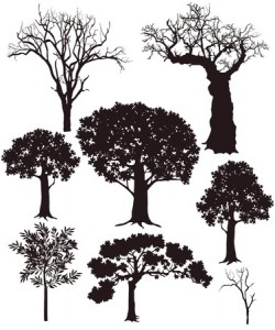 Trees