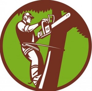 Arborist