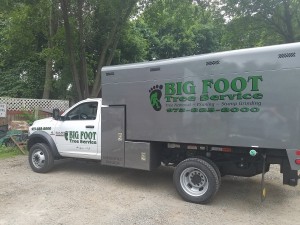 Tree Removal Experts - Franklin Lakes, NJ side of big foot tree service truck