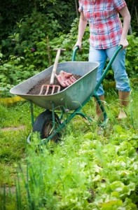 Spring Yardwork