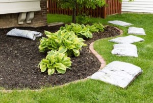 Summer Landscaping Tips