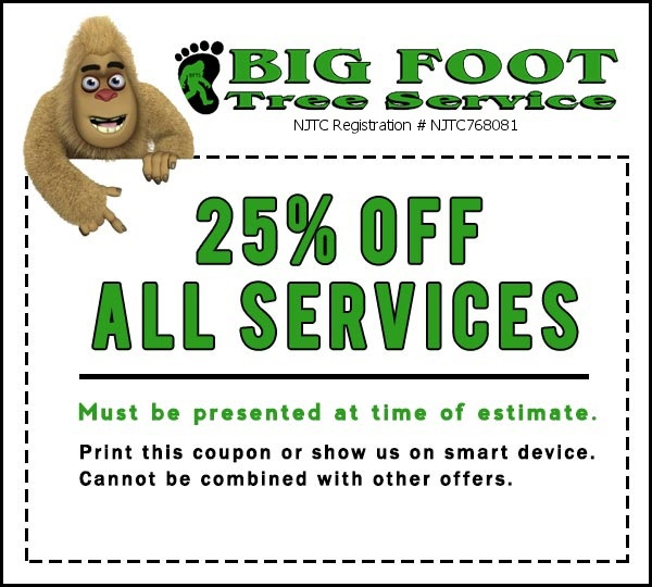 Big Foot Tree Services Coupon