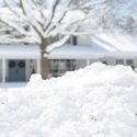 Is Ice Worse than Snow for Trees and Shrubs?