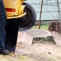 The Different Ways to Remove a Tree Stump