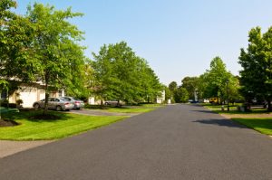 Trees on Your Property