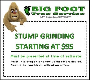 Stump Grinding Coupon Montville NJ