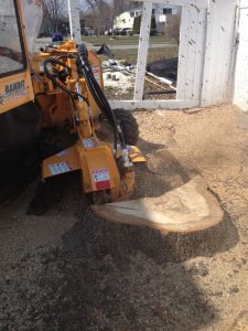 Stump Grinding Services 