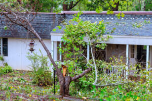 Large tree has fallen on house, damaging roof obstructing entrance in suburban neighborhood after recent hurricane storm.